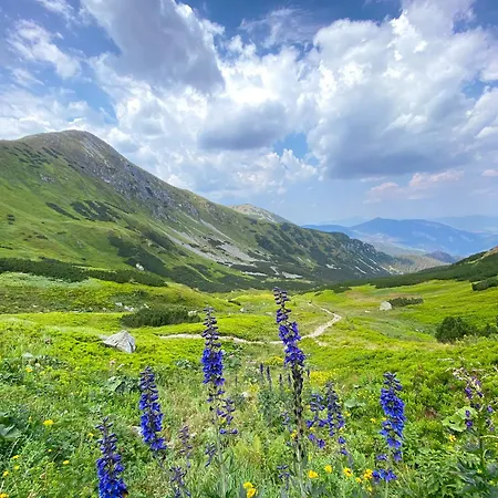 Penzion Limba Demanovská Dolina