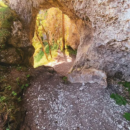 Limba Penzion