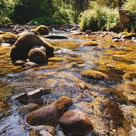 Limba Penzion Demanovská Dolina