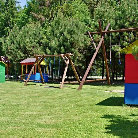 Limba 3*